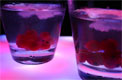 cocktailfrweb