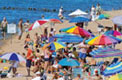 Saugatuck Beach