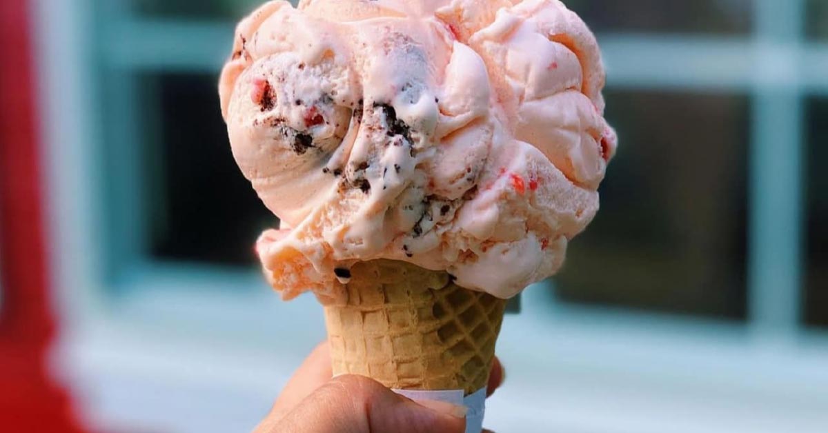 We All Scream: A Dairy-Free Look at Ice Cream in Grand Rapids