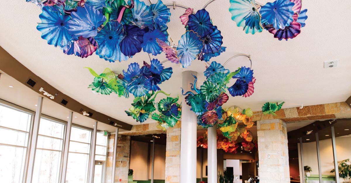 Color in Full Bloom: Chihuly Transforms Meijer Gardens