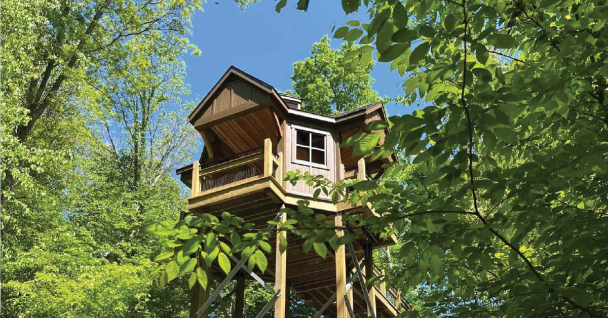 Get Out: Green Acres, Mahogany Trees and Amber Ciders