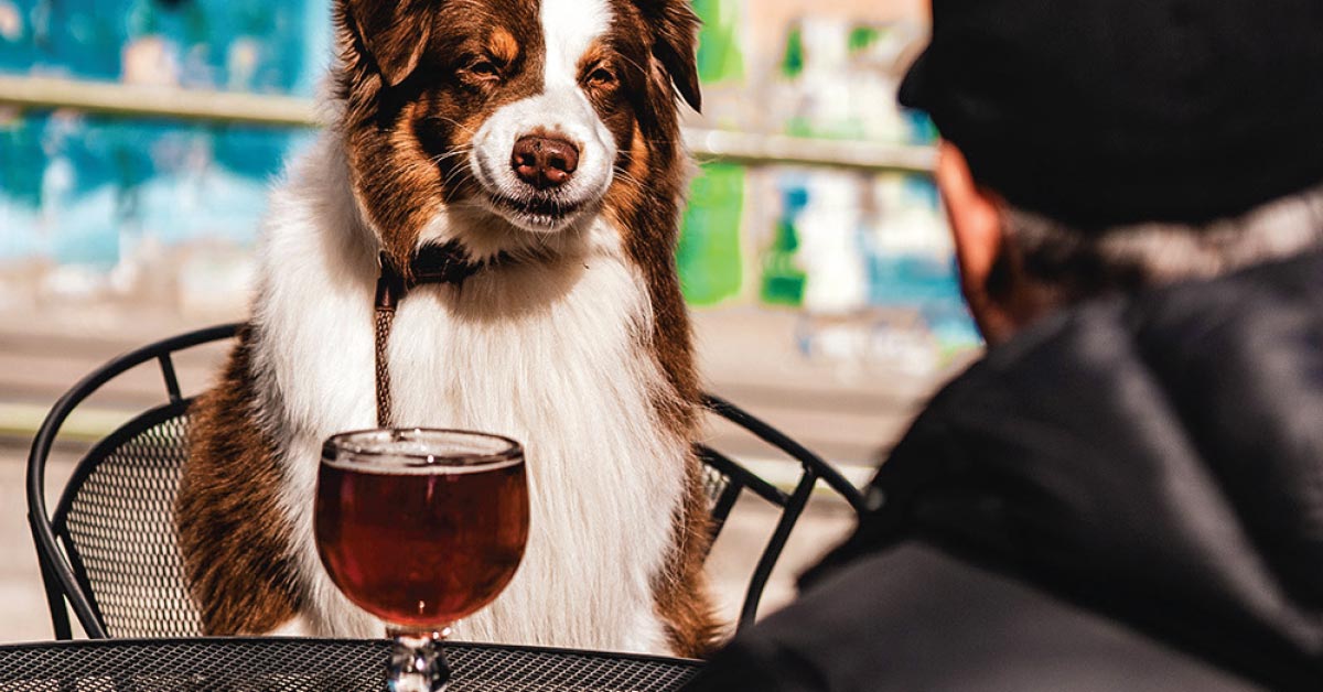 West Michigan Brewery Guide 2025