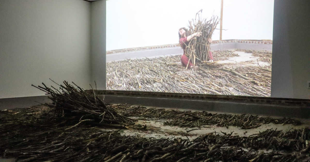 Artist Profiles: Hailey Johnson &amp; Hammerspace Gallery