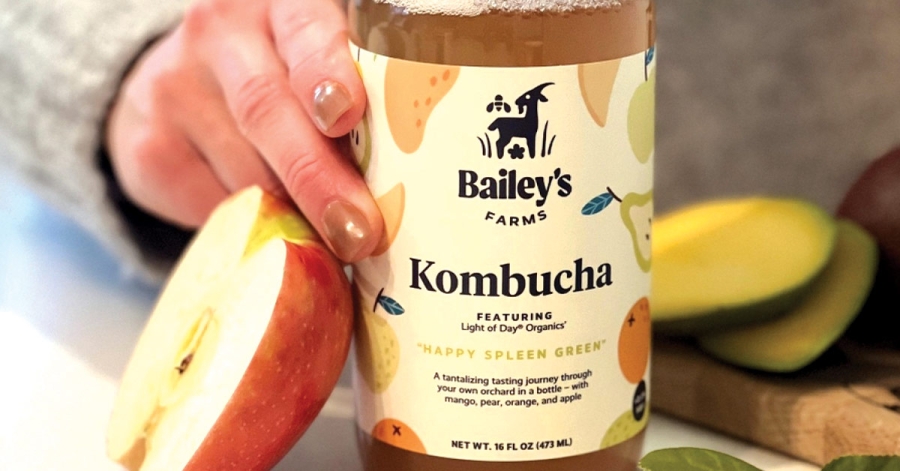 Drinking Cultured: Kombucha in West Michigan