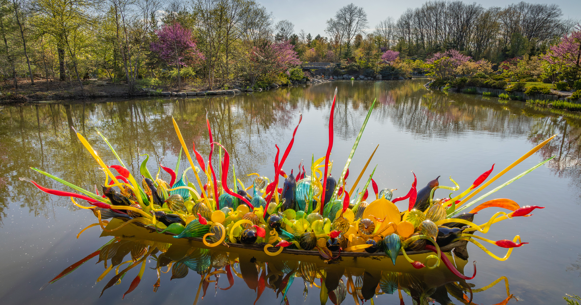 Color in Full Bloom: Chihuly Transforms Meijer Gardens