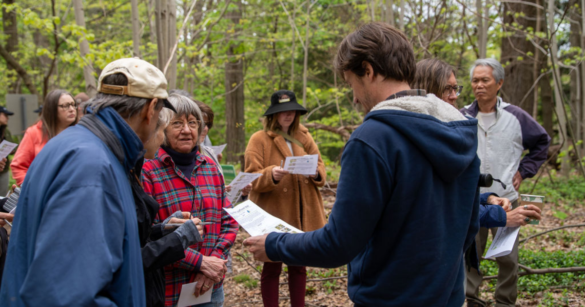 Get Out: Getting By with a Little Help from Our Friends