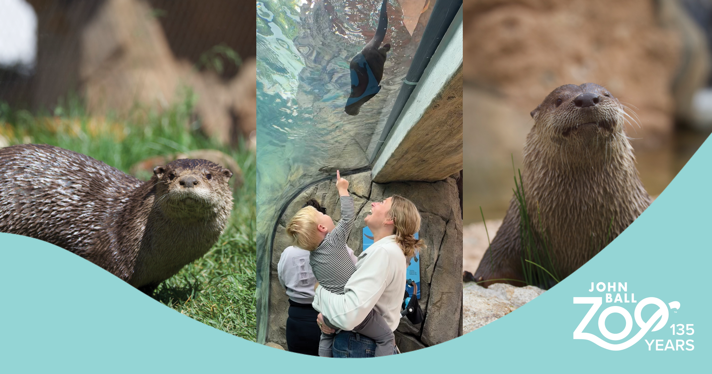 For the Love of Play! A Summer of Fun and Discovery at John Ball Zoo
